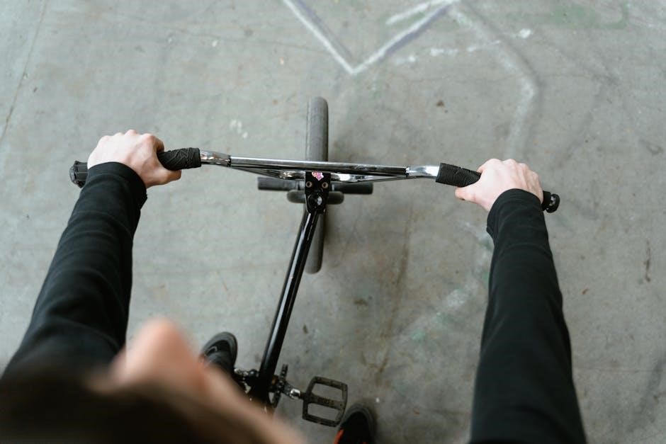 roger black exercise bike manual