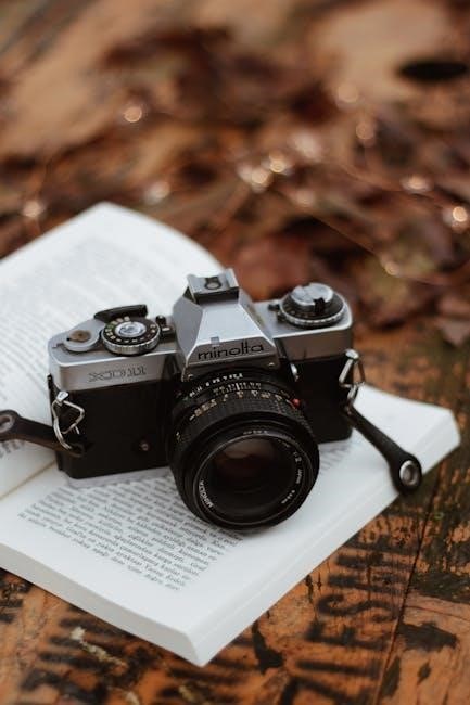 minolta maxxum 7000 af manual